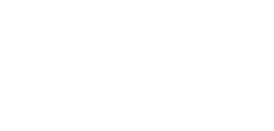 Pira Web Creative Agency